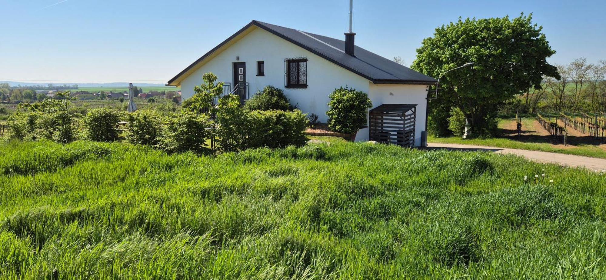 Ferienwohnung Fam. Frey Kleinhoflein Bagian luar foto