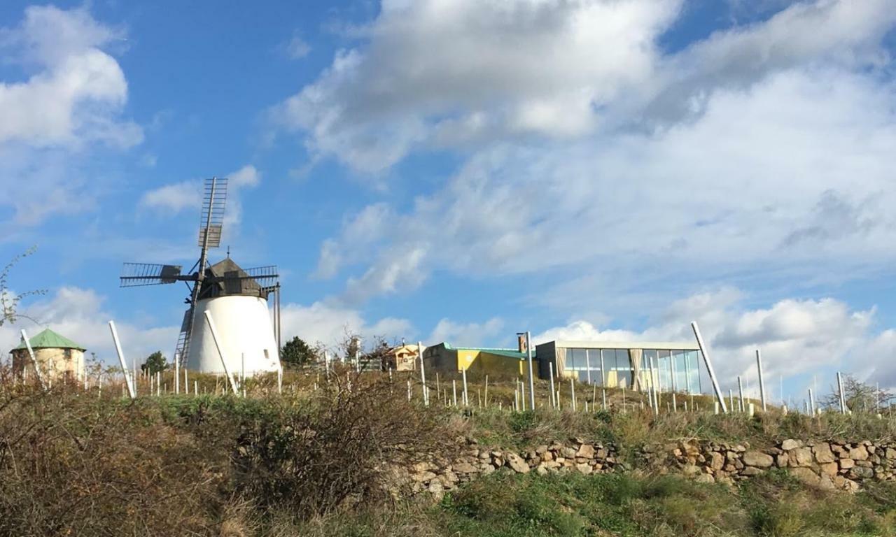 Ferienwohnung Fam. Frey Kleinhoflein Bagian luar foto